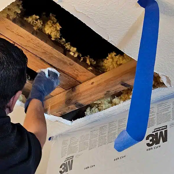 Mold Inspection & Remediation in Manhattan