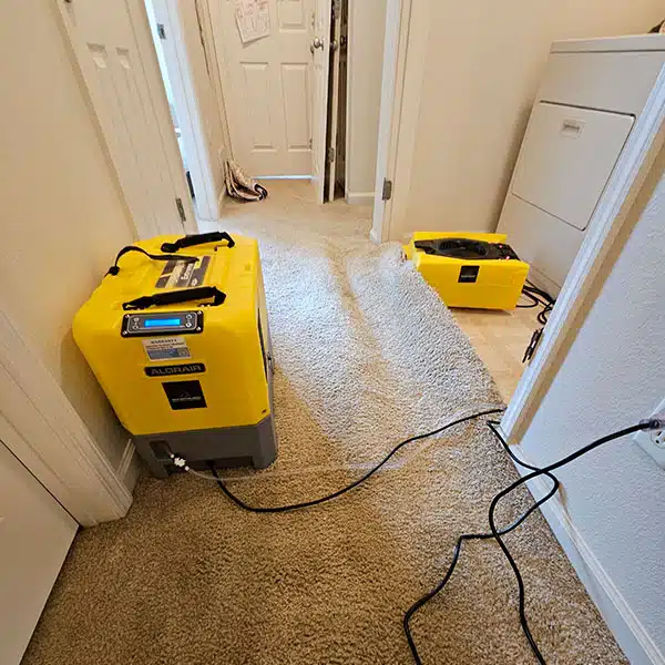 Water Damage Mitigation in Manhattan