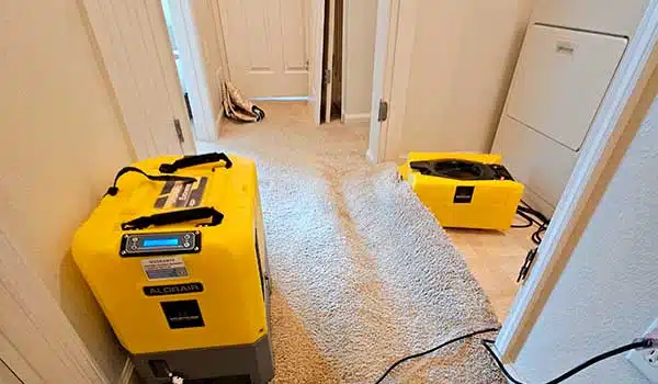 Water Damage Mitigation